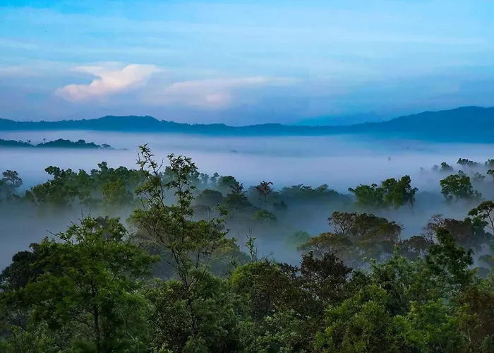 Jade Hills Coorg
