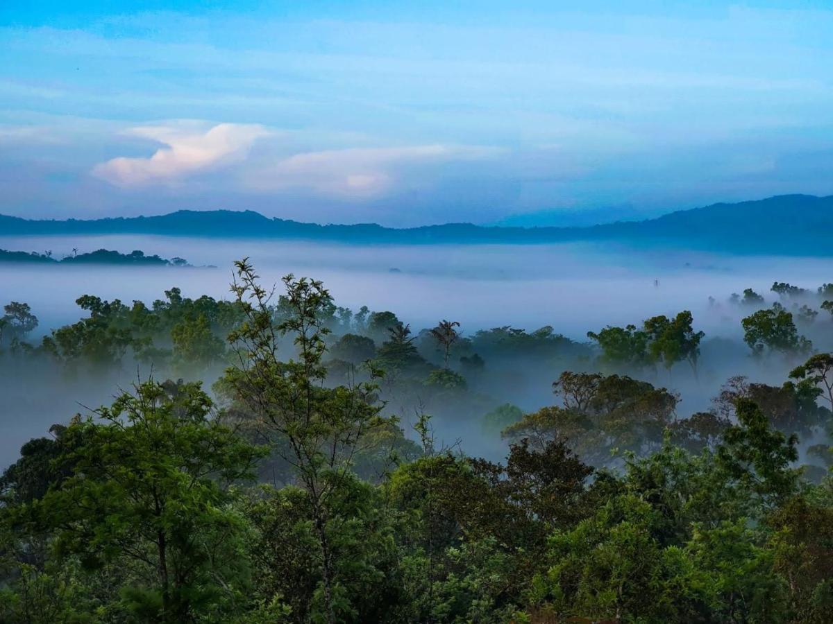 Homestay Jade Hills Coorg *