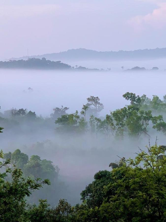 Jade Hills Coorg * Madikeri