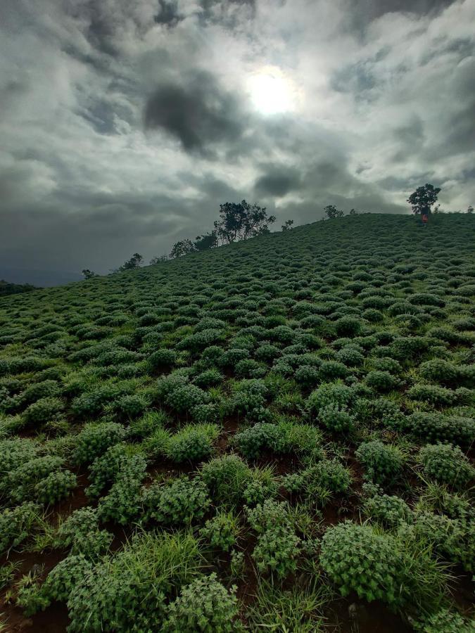 Homestay Jade Hills Coorg